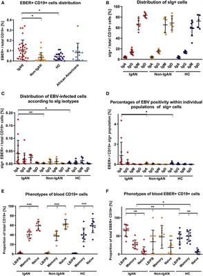 Role of Epstein-Barr Virus in Pathogenesis and Racial Distribution of IgA Nephropathy